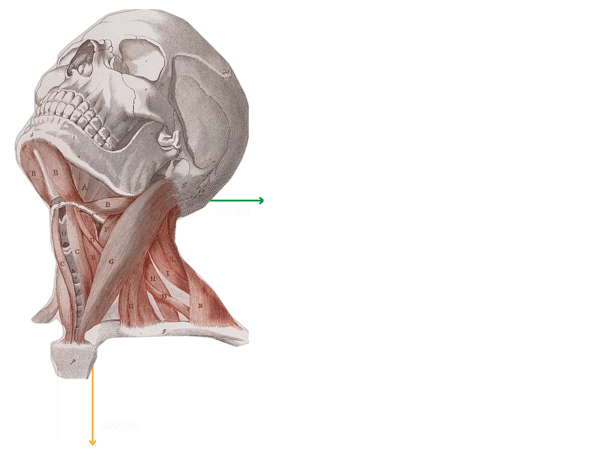 Materiel De Diagnostic 6 - Consommable Médical Maroc Matériel Médical Maroc