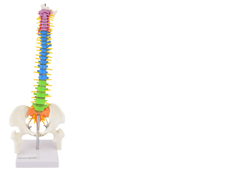 Materiel De Diagnostic 7 - Consommable Médical Maroc Matériel Médical Maroc