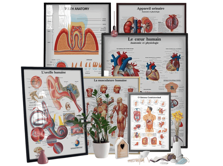 Tableaux Medical 1 - Consommable Médical Maroc Matériel Médical Maroc